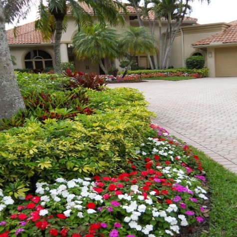 Professional Landscaping Service in Palm City, FL
